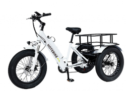 Jual Sepeda Roda Tiga Listrik Hotbike Dewasa Terbaik 500/750W Murah