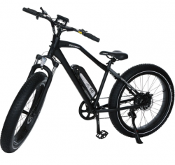 jual sepeda GOPOWERBIKE GOSPEED 750W 48V/10AH ALL TERRAIN FAT TIRE Sepeda Listrik B101 Murah