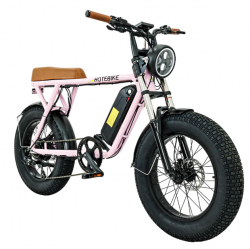 Jual Sepeda Listrik Unik Hotbike 48V 500W Cewek Murah