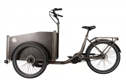 Jual Sepeda Listrik Kargo Unik Leebike Tipe Lee650 Murah